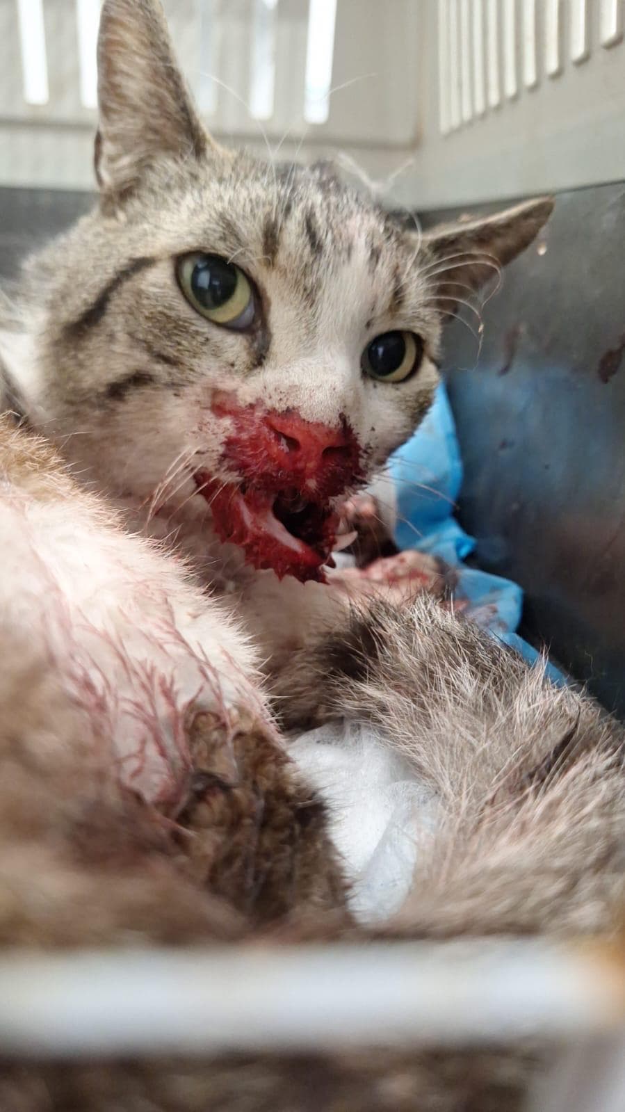 Spende im Einsatz – Finca Noah