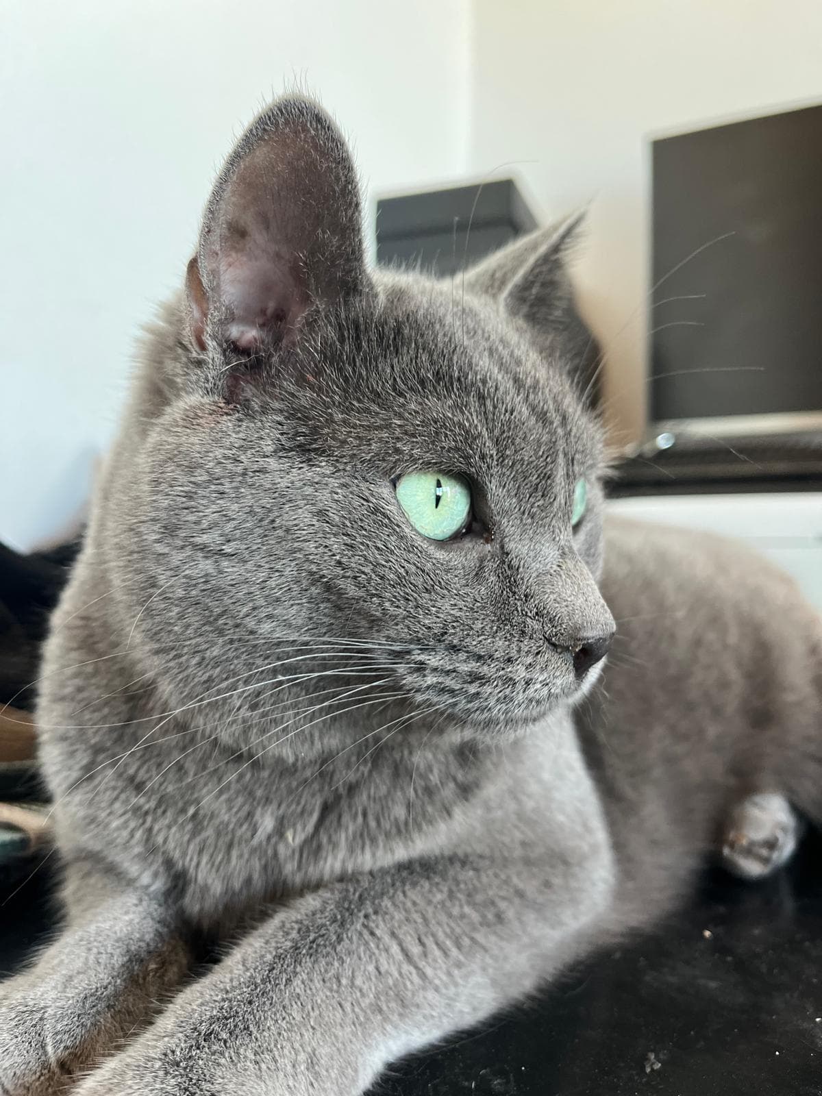 Blue