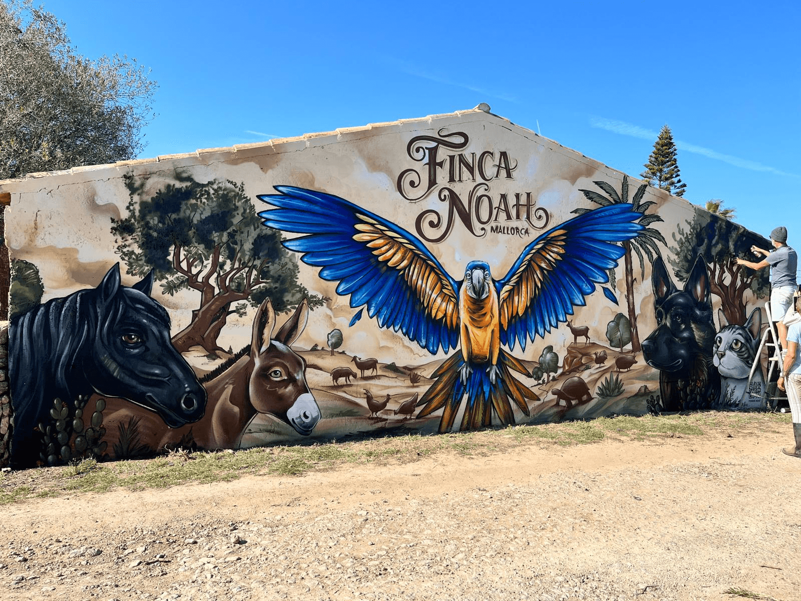 FINCA NOAH